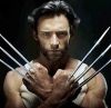 Wolverine.jpg