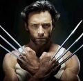 Wolverine.jpg