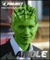 Anole Card.jpeg