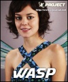 Trading card wasp.jpg