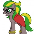 Pony-stephanie.jpg